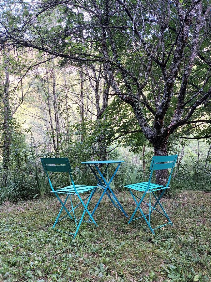 Deux Pieces De Caractere Au Coeur Des Gorges Apartment Engins Екстериор снимка